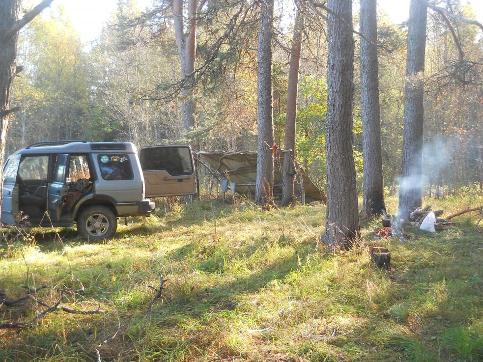 Балаган в Ломоносовском