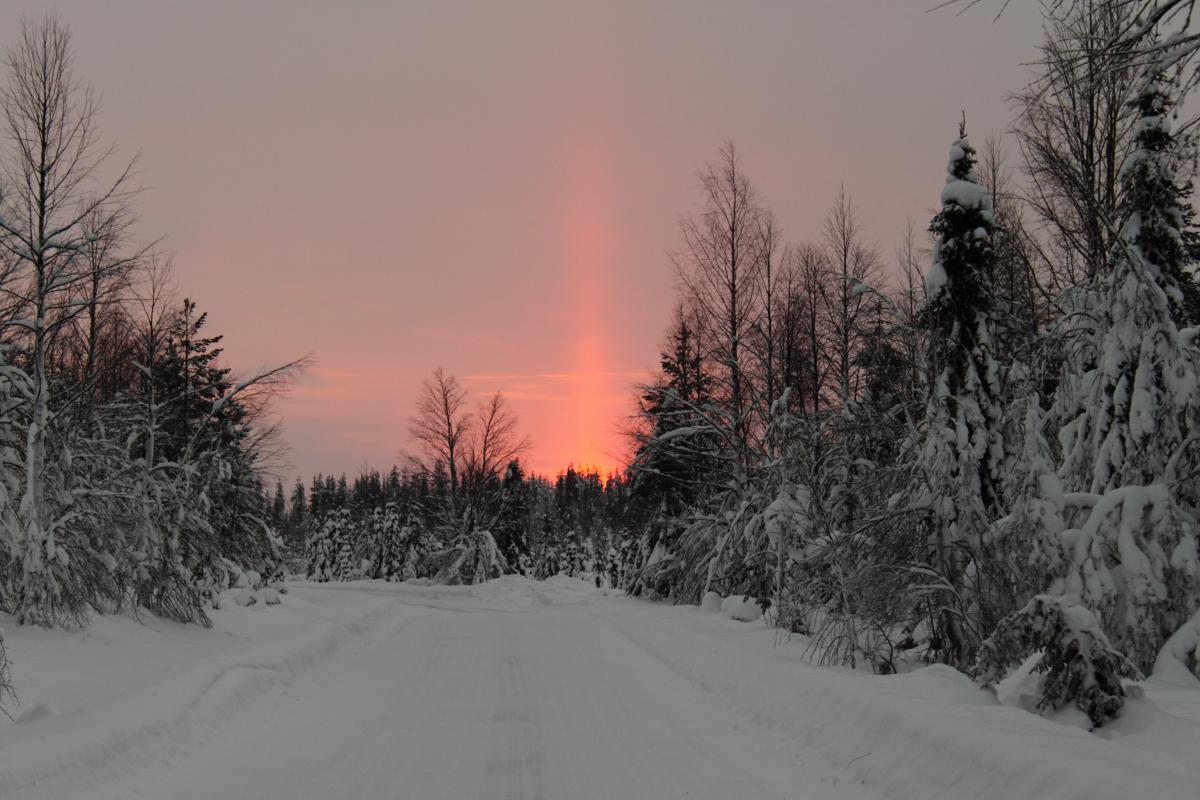 леви 2015