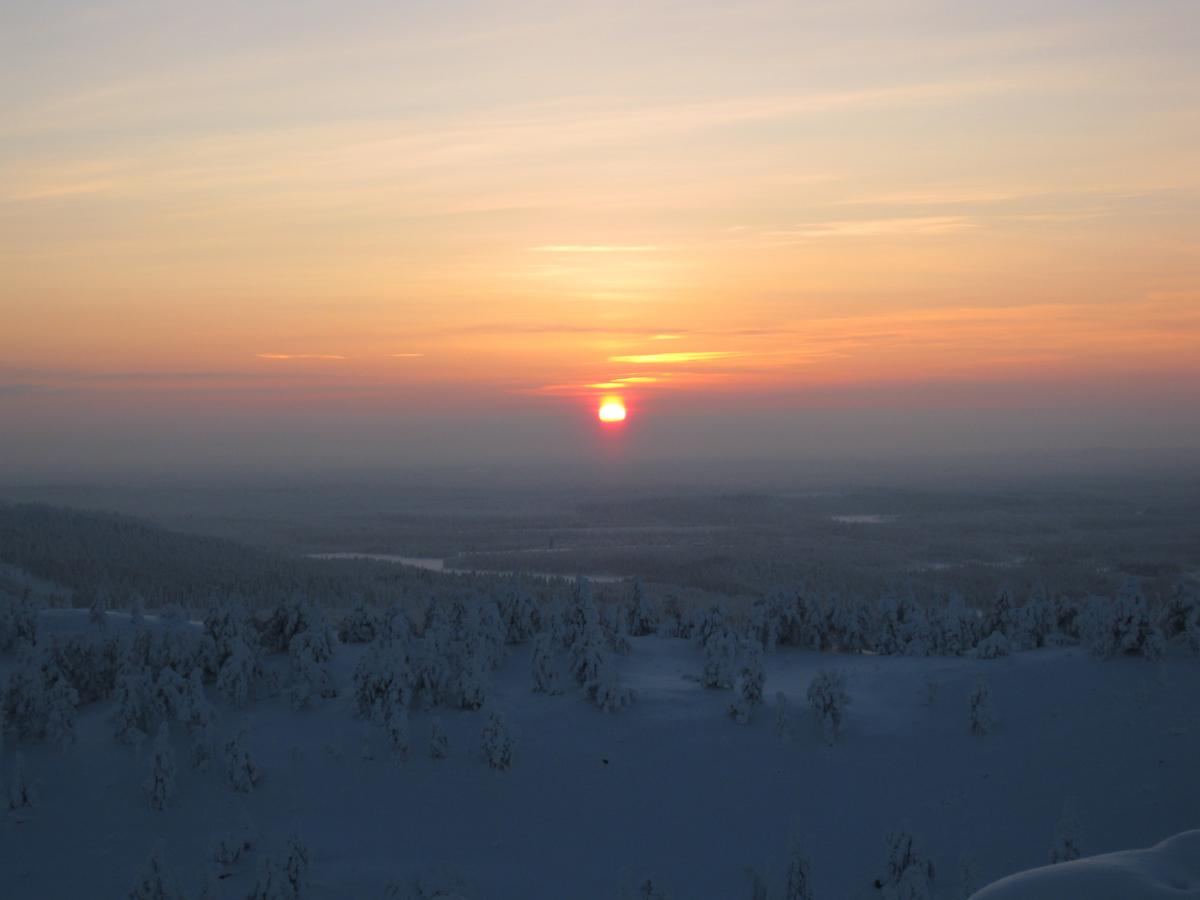 Рука 2011