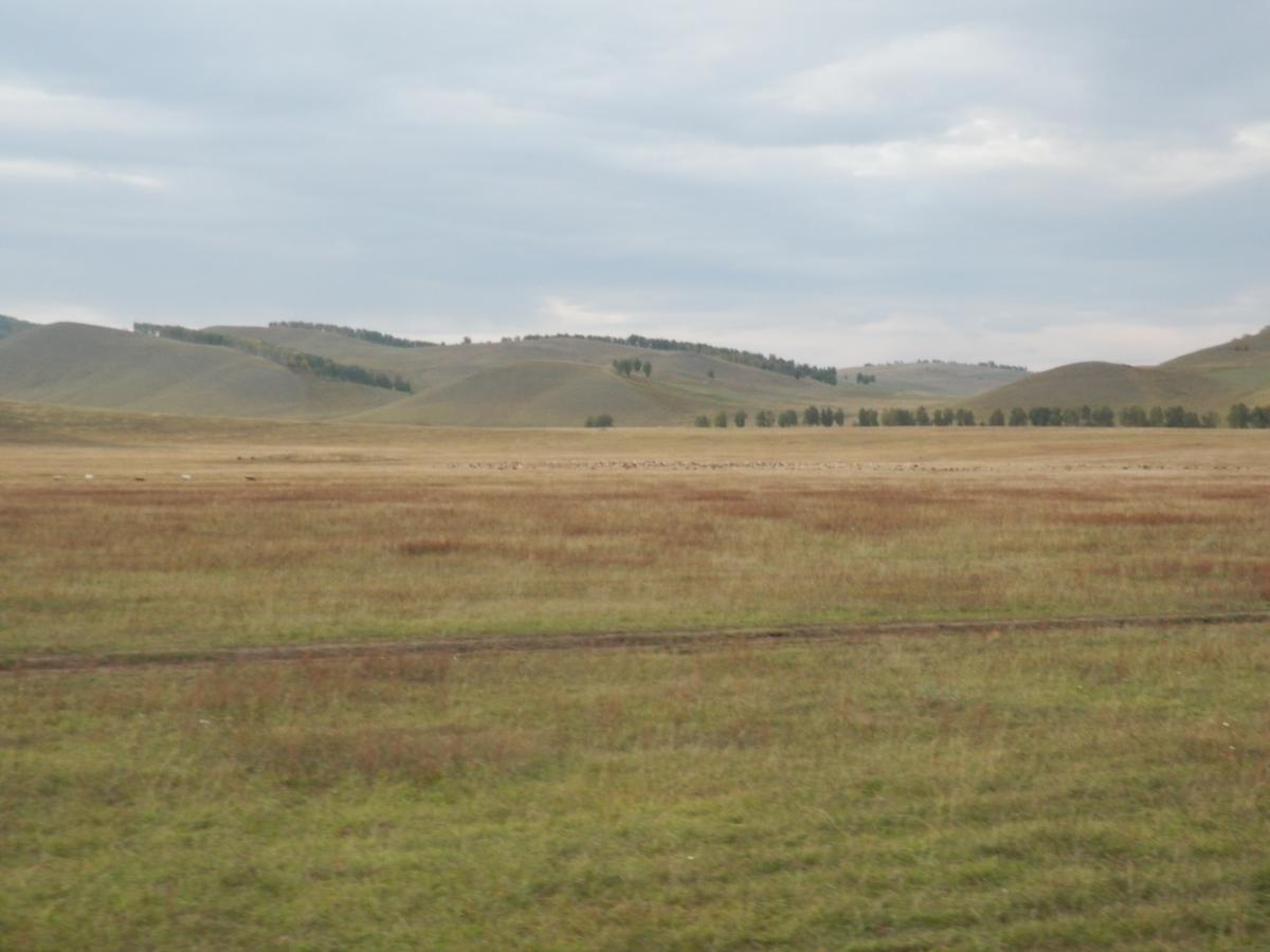 P9100153