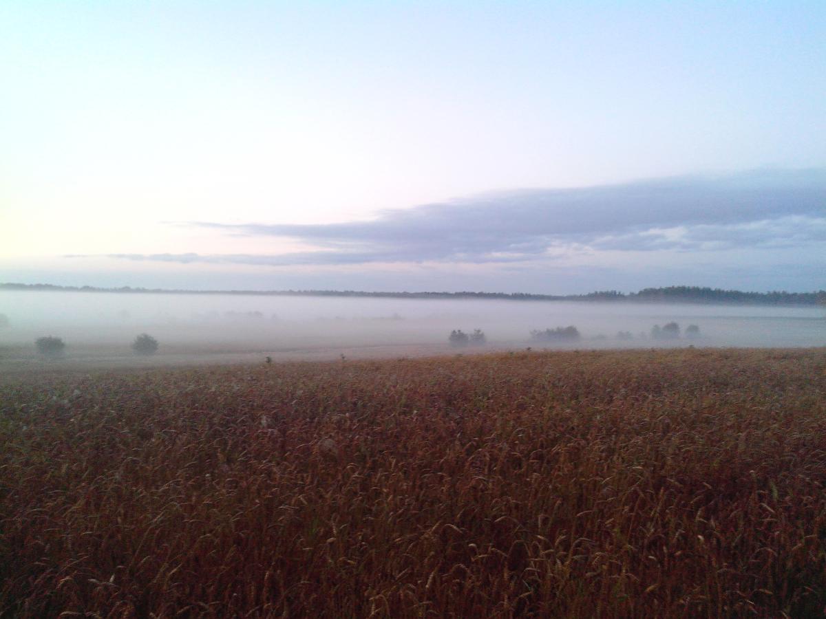 IMG 20150913 060136
 Раннее утро.