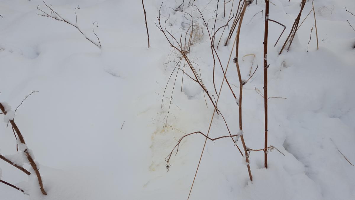20160105 142727