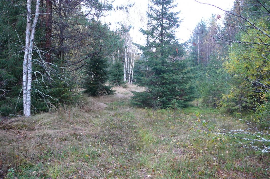 P1020549