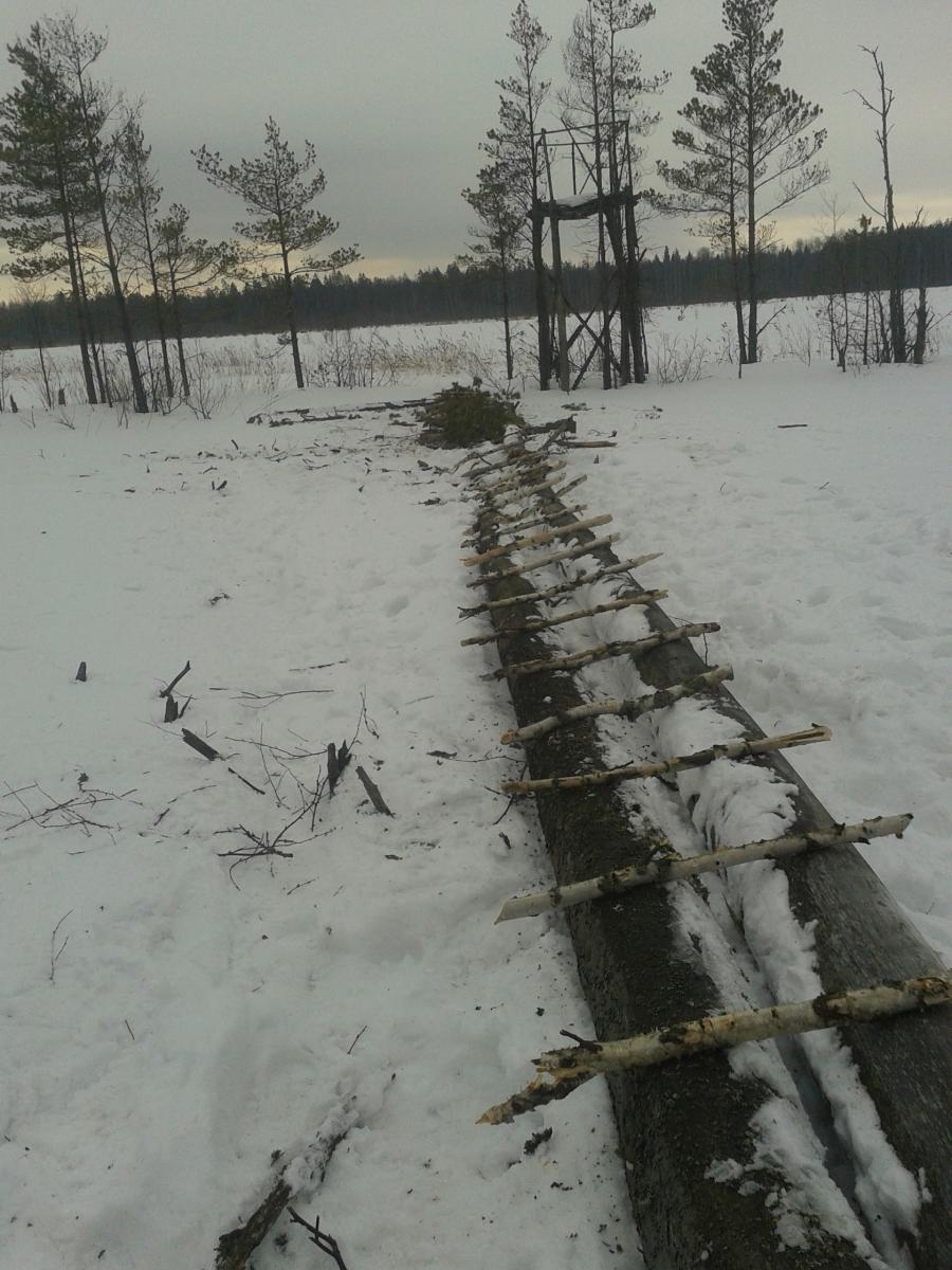 2013 03 06 13.55.08   копия