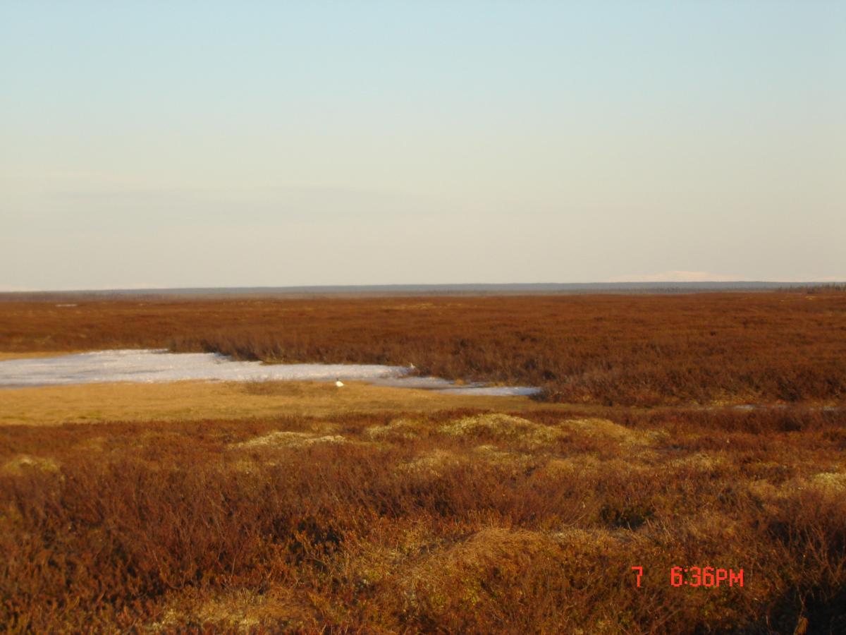 DSC00042
