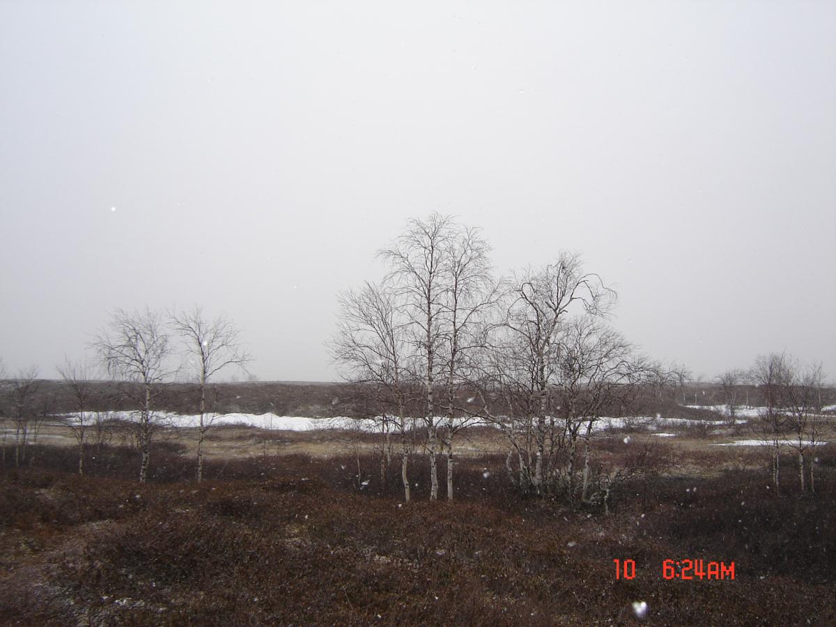 DSC00045