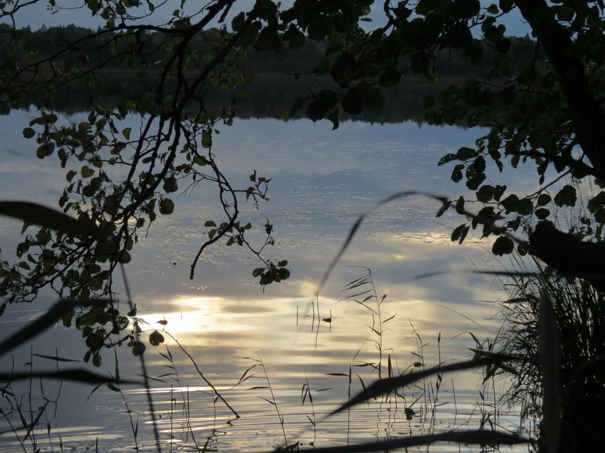 IMG 0912[1]
