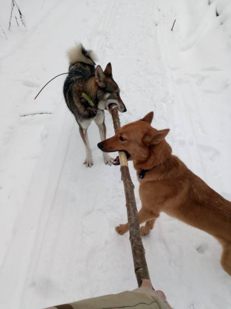 IMG 20181230 WA0046(1)