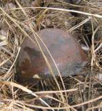 thumb IMG 2402