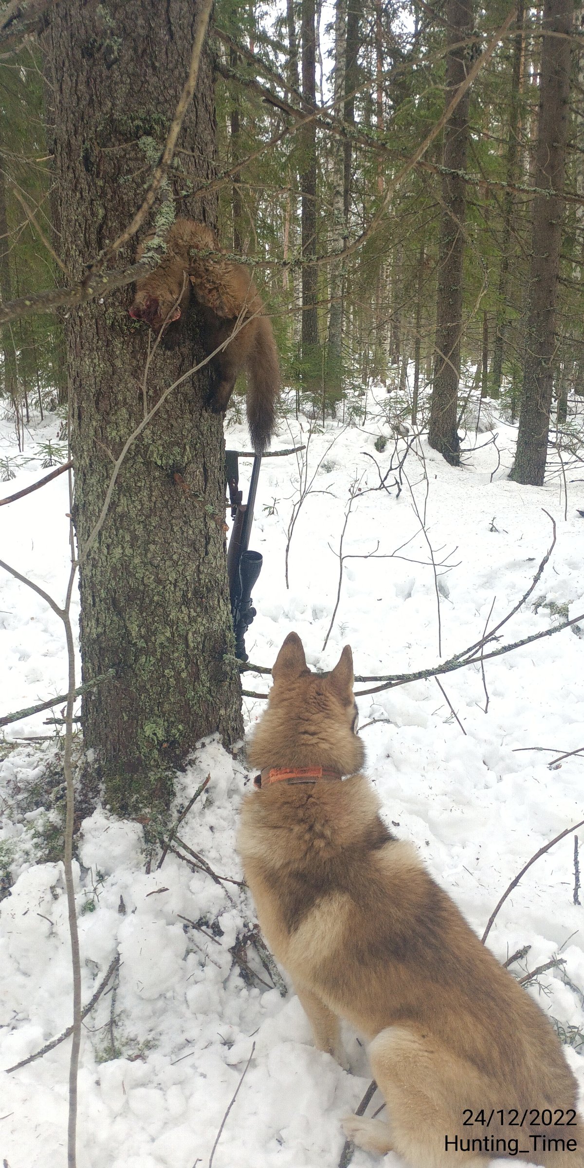 Hunting_Time_20221224_120943.jpg