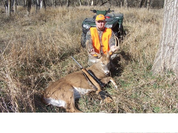 deer 06