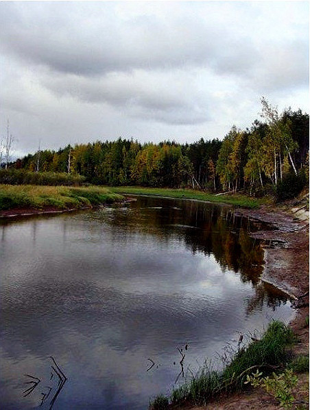 р. Полое. Сургут.