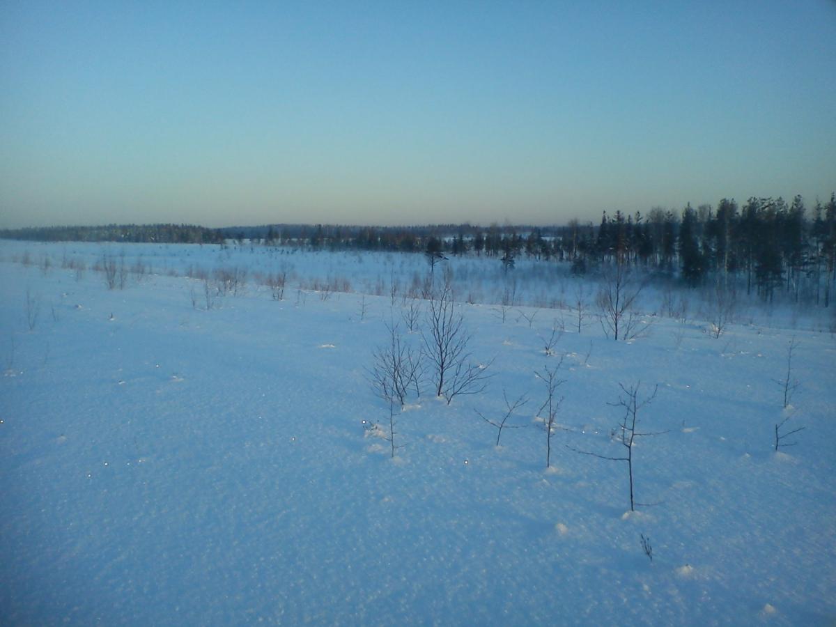 DSC00065