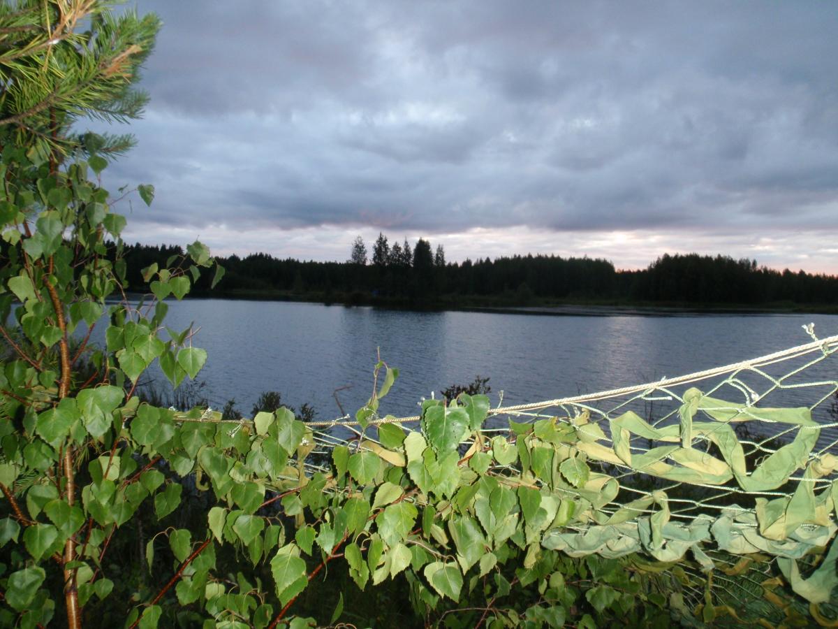 P8111506
