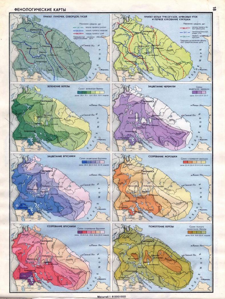 Фенологическая карта Мурманской области