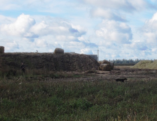 h-5427.jpg