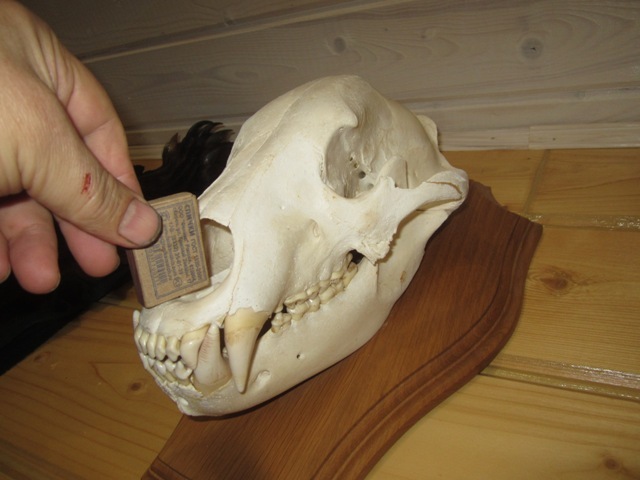 h-5765.jpg