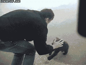 gifs_07.gif