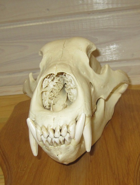 h-5764.jpg