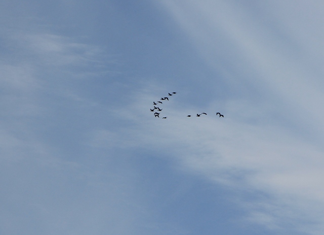 h-4297.jpg