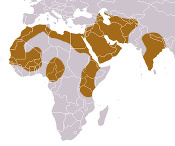 striped_hyena_range.jpg