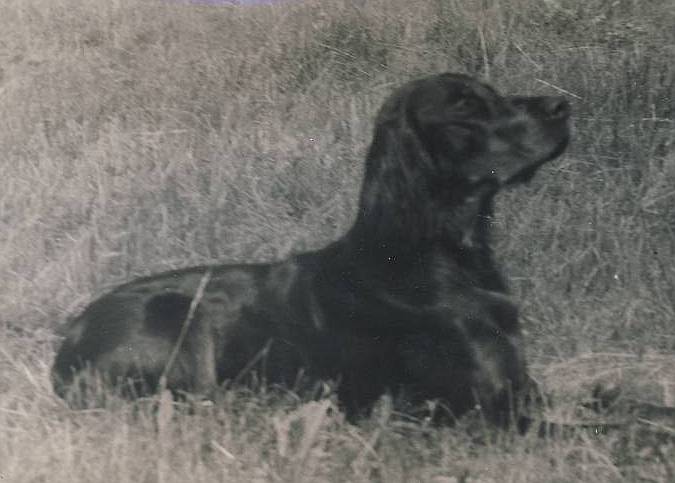 Image0004.jpg