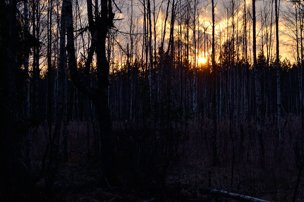 0_9376f_75ac33e8_orig.jpg