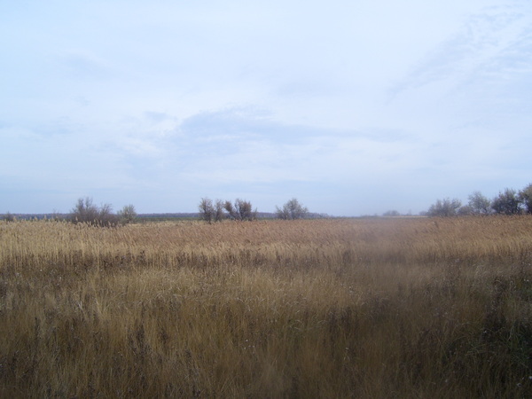 i-36.jpg