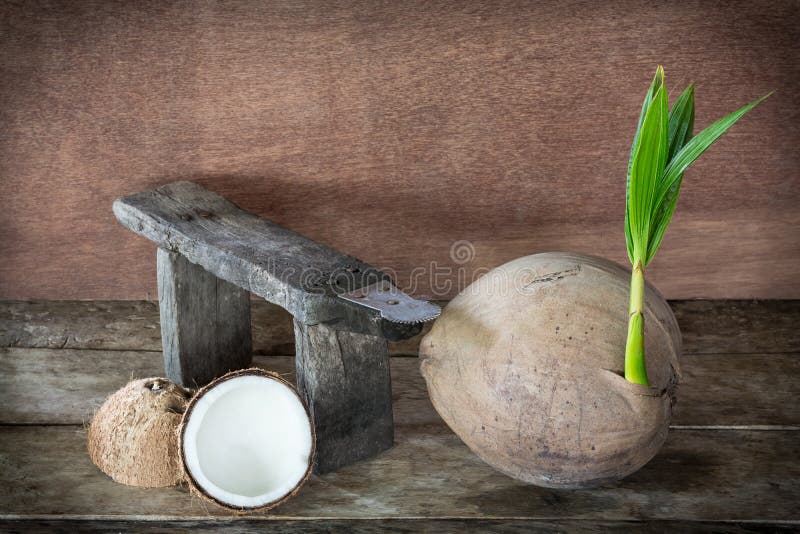 coconut-coconut-grater-wooden-background-72045121.jpg