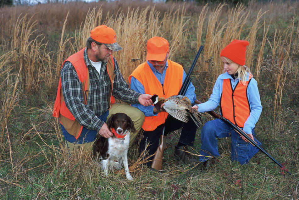 hunting_pheasant.jpg