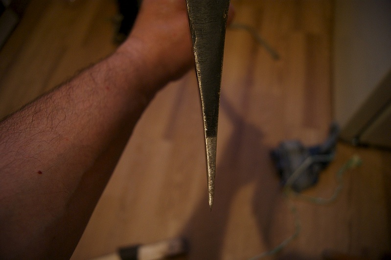 11973038.jpg
