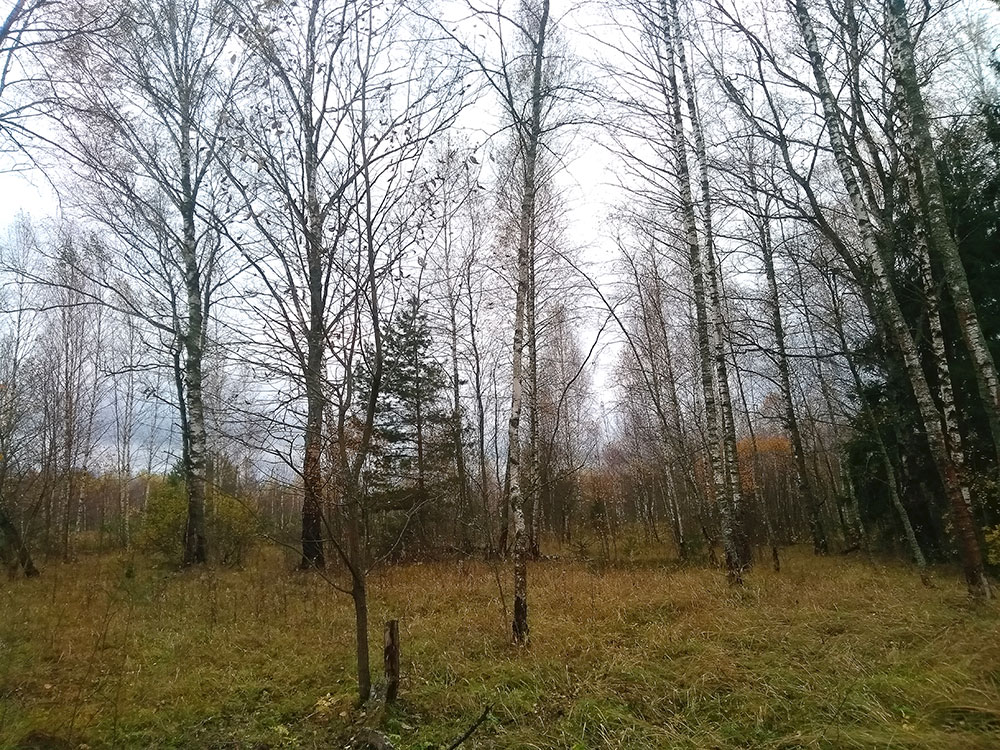 IMG-20231017-115957-web.jpg