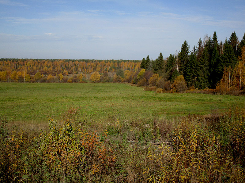 IMG-1615-web.jpg
