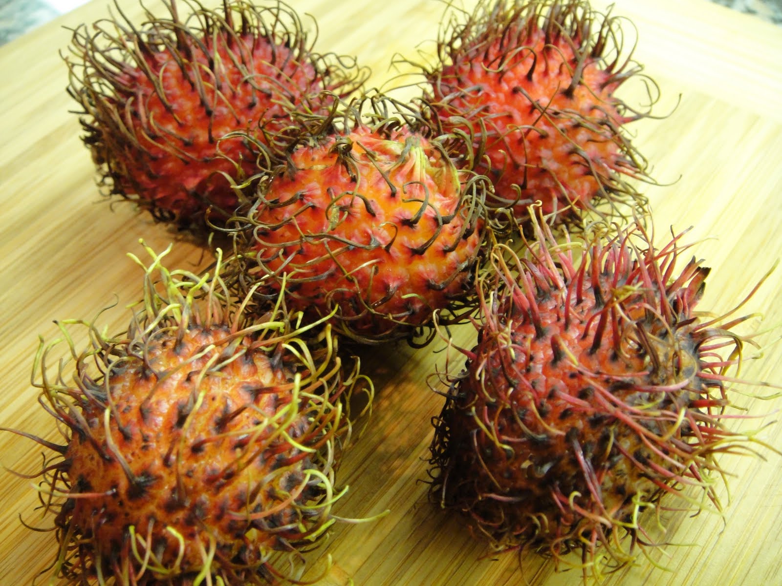 Rambutan+fruit.JPG