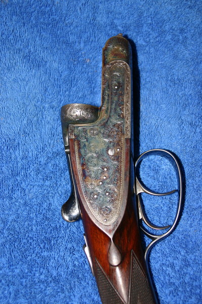 i-1672.jpg