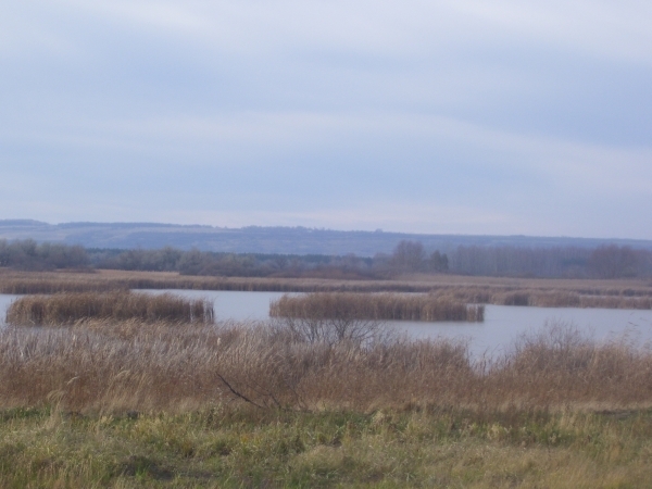 i-37.jpg