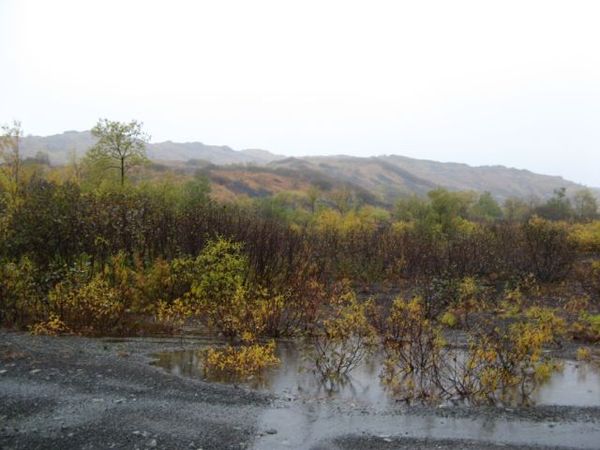i-206.jpg