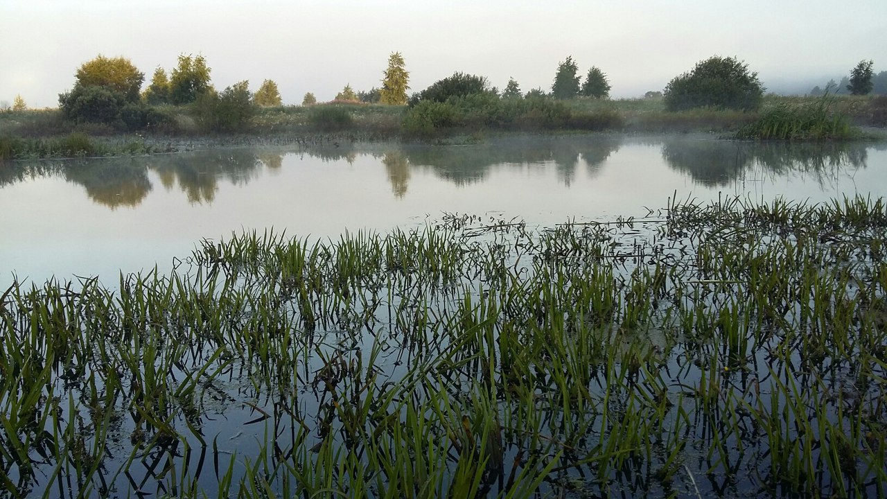 SGl0GukHOGI.jpg
