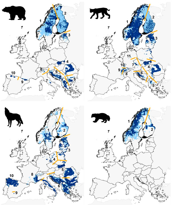 eur_animal_3.jpg