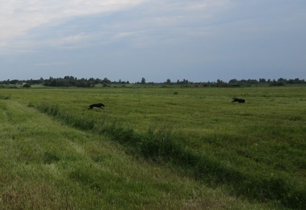 i-3635.jpg