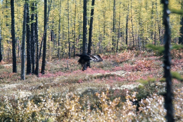 i-409.jpg