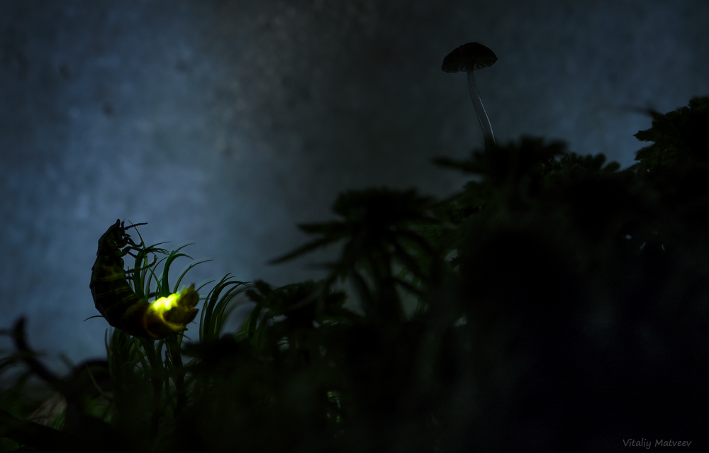 0_a58b3_7b800c4d_orig.jpg