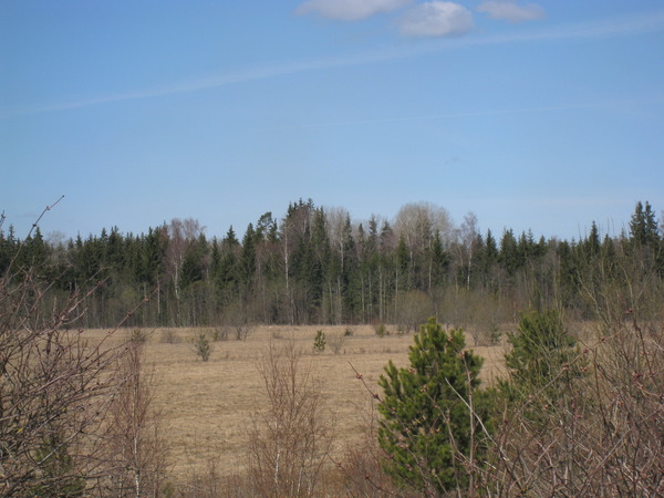 i-311.jpg