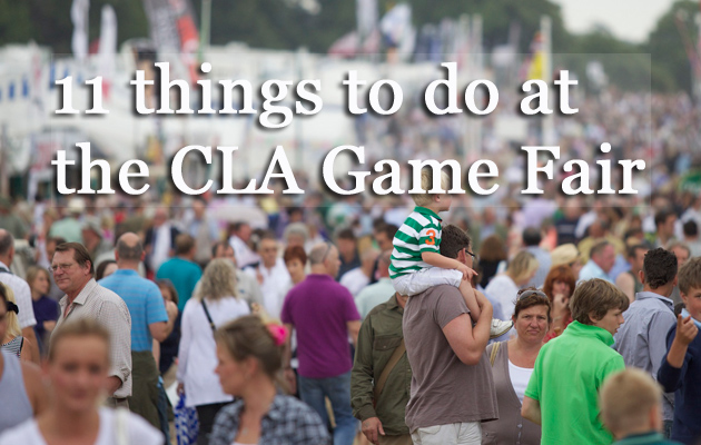 cla-fair.jpg