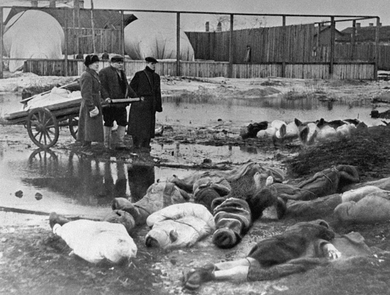 volkovo_kladbishe_leningrad_1942_bkudoyarov.8g011ngslncwcw44s0ooosk04.ejcuplo1l0oo0sk8c40s8osc4.th%20%281%29.jpg