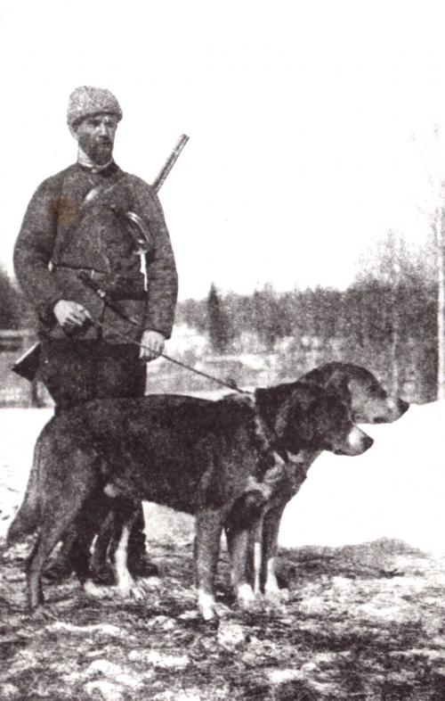 Н. П. Кишенский со своими двумя выжлецами Добываем и Шумилой IV (стоит сзади)