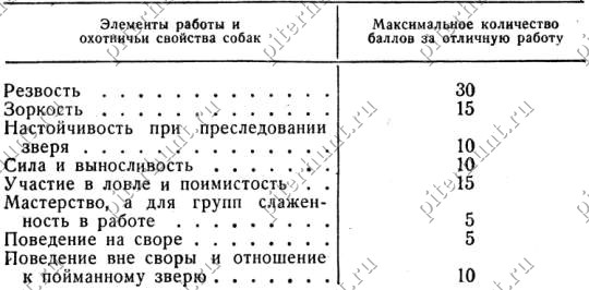 Испытания собак охотничьих пород