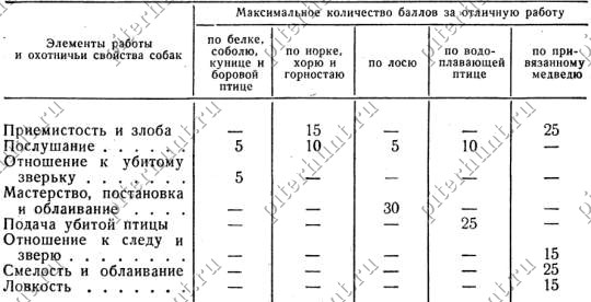 Испытания собак охотничьих пород