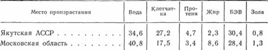 Содержание питательных веществ в березе (%)