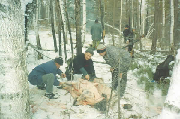 Я ВОЗЛЕ КАБАНА С ВАСЕЙ И ОЛЕГОМ